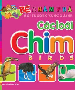 Bé Khám Phá – Các Loài Chim