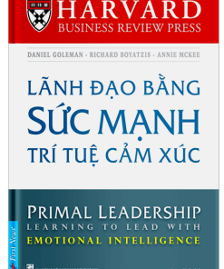 LÃNH ĐẠO BẰNG SỨC MẠNH TRÍ TUỆ CẢM XÚC